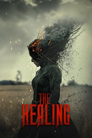 The Healing's poster
