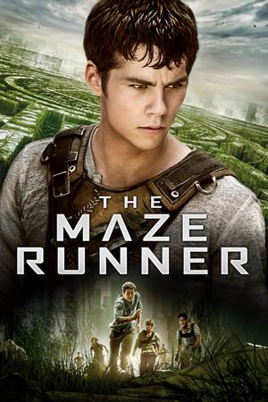 The Maze Runner's poster