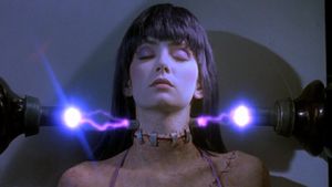 Frankenhooker's poster