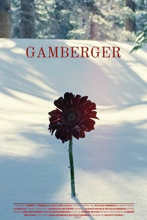 Gamberger's poster