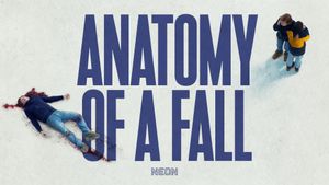 Anatomy of a Fall's poster