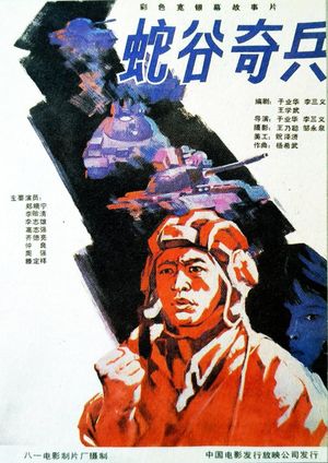 She gu qi bing's poster image