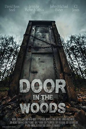 Door in the Woods's poster