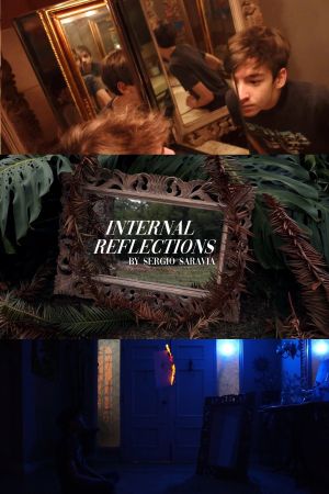 Internal Reflections's poster