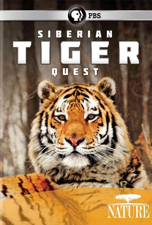 Siberian Tiger Quest's poster