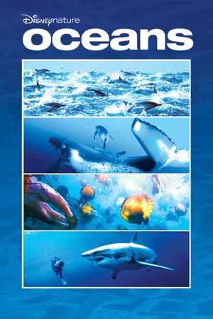 Oceans's poster