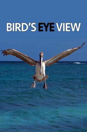 Bird's Eye View's poster