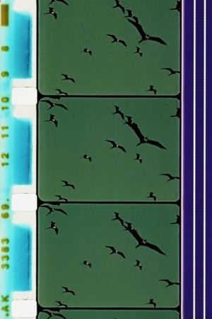 Aves: Magnificent Frigate Bird, Great Flamingo's poster