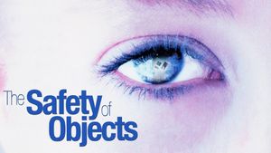 The Safety of Objects's poster