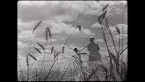 Song of the Cornfields's poster