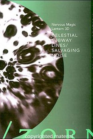 Celestial Subway Lines/Salvaging Noise's poster