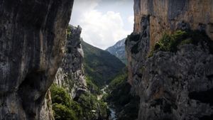 Verdon - The Show Must Go On's poster