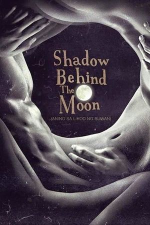 Shadow Behind the Moon's poster