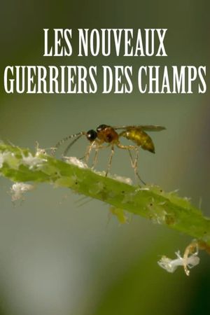 Les nouveaux guerriers des champs's poster