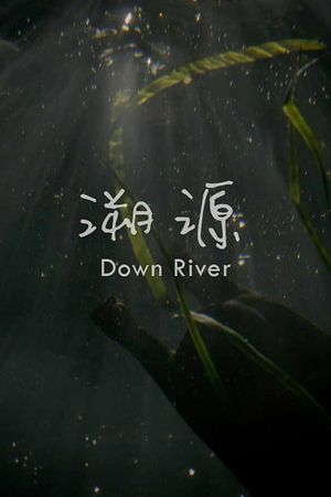 Down River's poster image