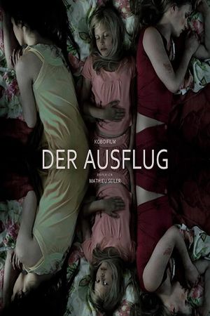 Der Ausflug's poster