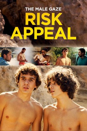 The Male Gaze: Risk Appeal's poster