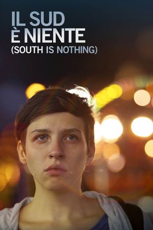 South Is Nothing's poster