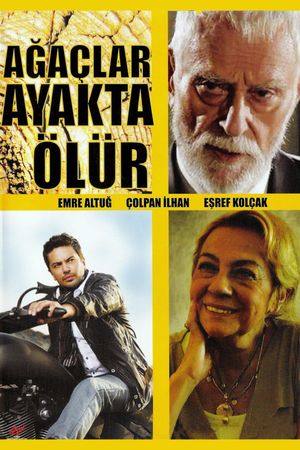 Ağaçlar Ayakta Ölür's poster