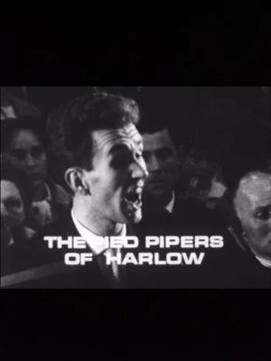 The Pied Pipers of Harlow's poster