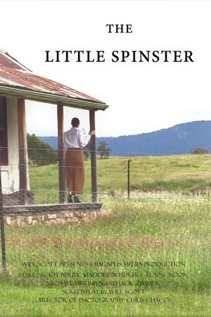 The Little Spinster's poster