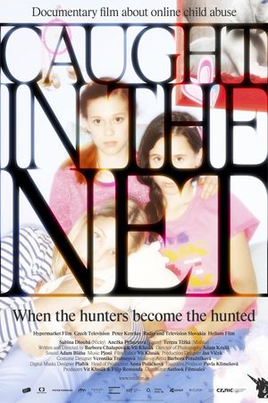 Caught in the Net's poster