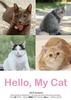 Hello, My Cat's poster