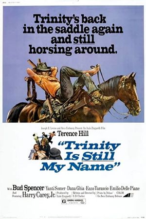 They Call Me Trinity's poster