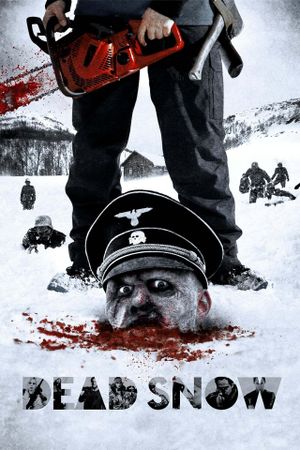 Dead Snow's poster