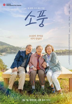Picnic's poster