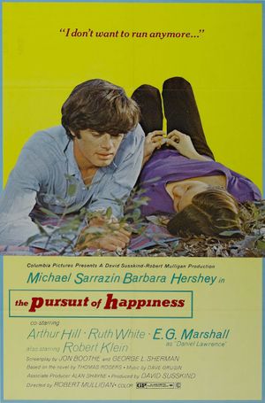 The Pursuit of Happiness's poster image