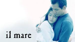 Il Mare's poster