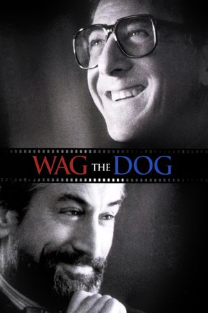 Wag the Dog's poster