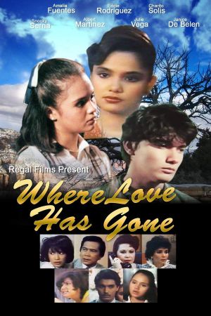 Where Love Has Gone's poster