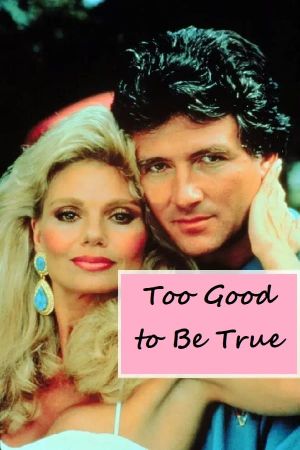 Too Good to Be True's poster