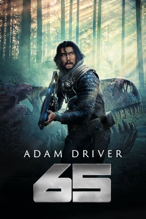 65's poster