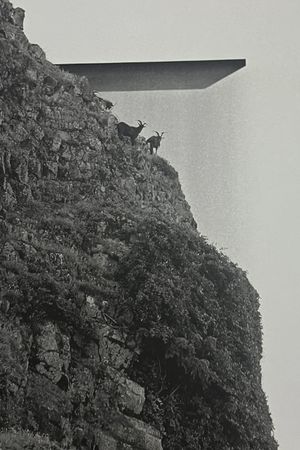 Orchid Island's poster