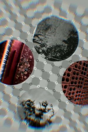 O..o (Four elements)'s poster