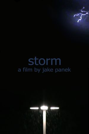 storm's poster