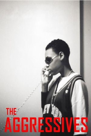 The Aggressives's poster