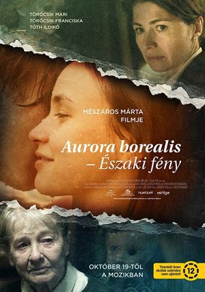 Aurora Borealis: Northern Light's poster