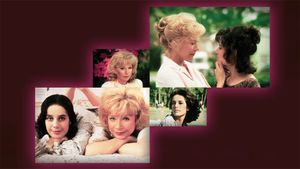 Terms of Endearment's poster