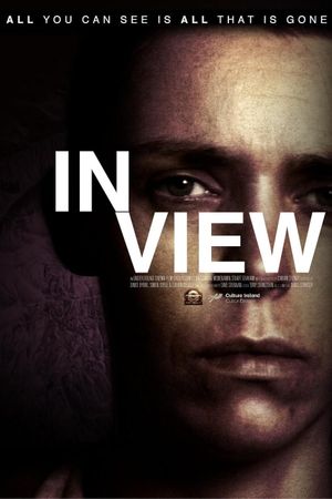 In View's poster
