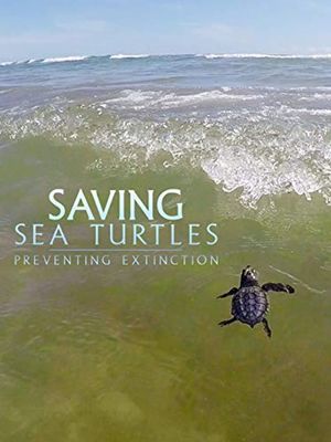 Saving Sea Turtles: Preventing Extinction's poster