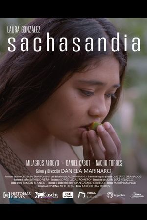 Sachasandia's poster