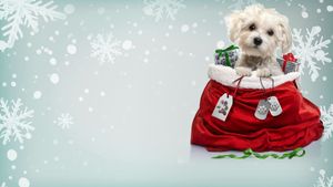 Charlie's Christmas Wish's poster