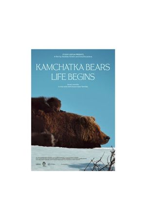 Kamchatka Bears. Life Begins's poster image