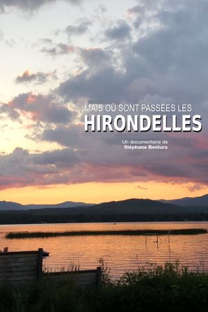 Où sont passées les hirondelles ?'s poster