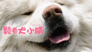 Wasao's poster