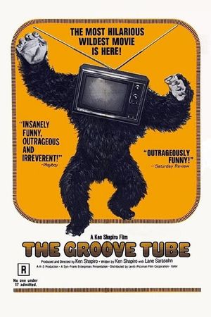 The Groove Tube's poster